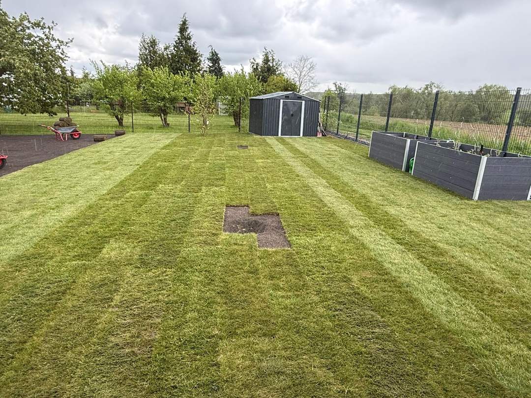 Sattgrüner Rollrasen auf großer Gartenfläche
