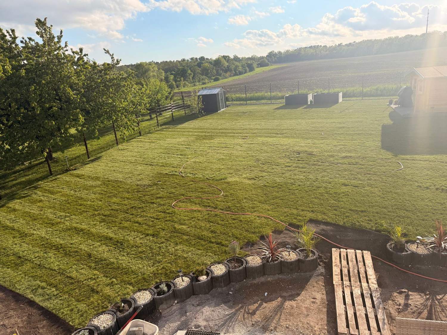 Frisch verlegter Rollrasen auf großer Gartenfläche – Galabau Groß Kreutz